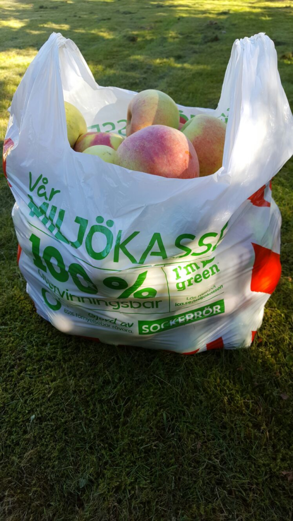 är Kcal Och Kalorier Samma Sak